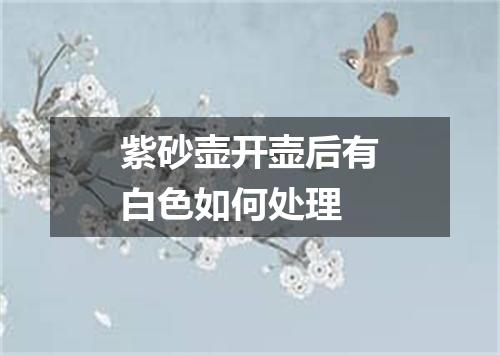 紫砂壶开壶后有白色如何处理