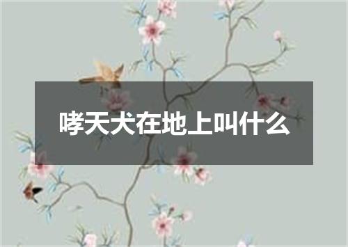 哮天犬在地上叫什么