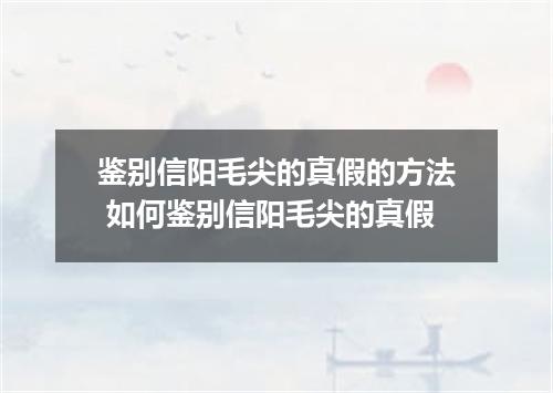 鉴别信阳毛尖的真假的方法 如何鉴别信阳毛尖的真假