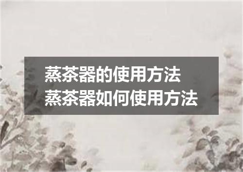 蒸茶器的使用方法 蒸茶器如何使用方法