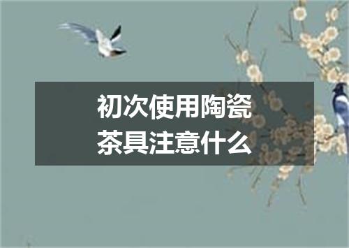 初次使用陶瓷茶具注意什么