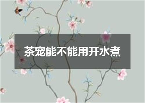茶宠能不能用开水煮
