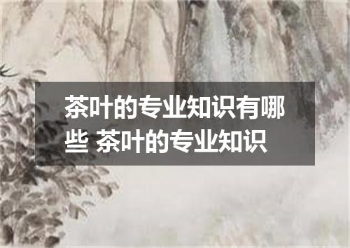 茶叶的专业知识有哪些 茶叶的专业知识