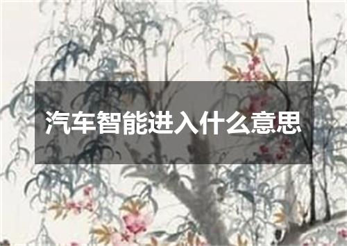 汽车智能进入什么意思