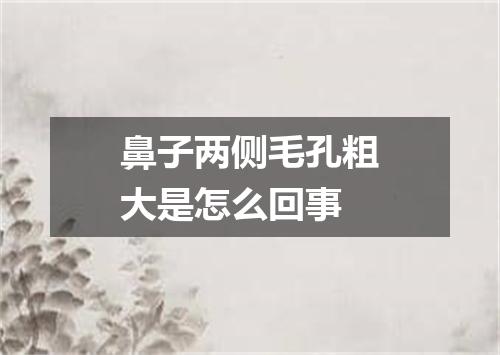 鼻子两侧毛孔粗大是怎么回事
