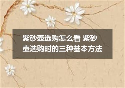 紫砂壶选购怎么看 紫砂壶选购时的三种基本方法