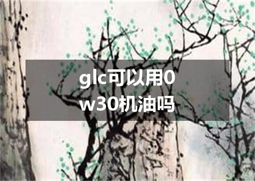 glc可以用0w30机油吗