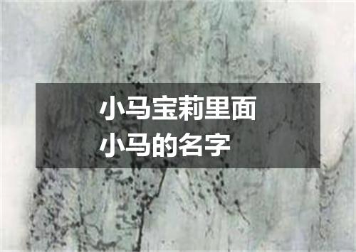 小马宝莉里面小马的名字