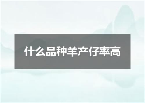 什么品种羊产仔率高