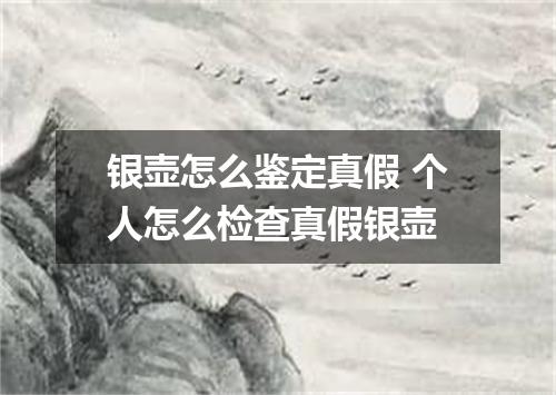 银壶怎么鉴定真假 个人怎么检查真假银壶