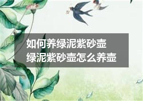 如何养绿泥紫砂壶 绿泥紫砂壶怎么养壶