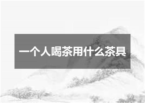 一个人喝茶用什么茶具
