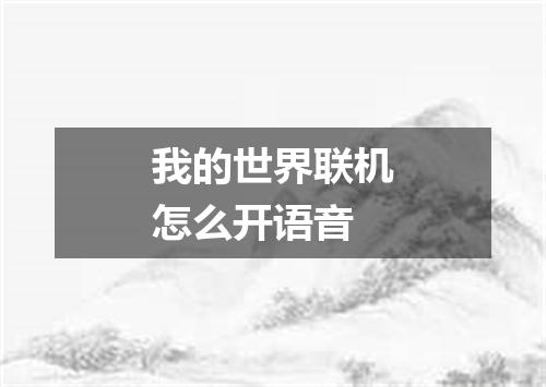 我的世界联机怎么开语音