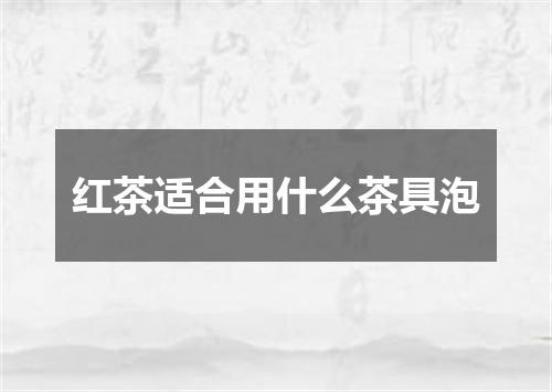 红茶适合用什么茶具泡