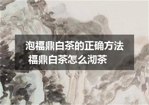 泡福鼎白茶的正确方法 福鼎白茶怎么沏茶