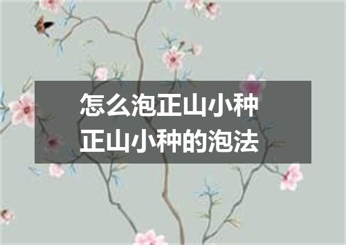 怎么泡正山小种 正山小种的泡法