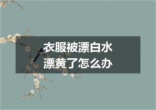 衣服被漂白水漂黄了怎么办