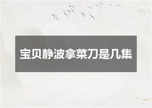 宝贝静波拿菜刀是几集