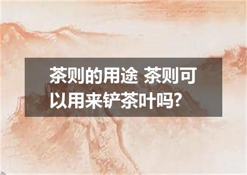 茶则的用途 茶则可以用来铲茶叶吗?