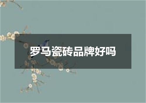 罗马瓷砖品牌好吗