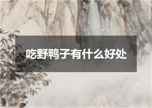 吃野鸭子有什么好处