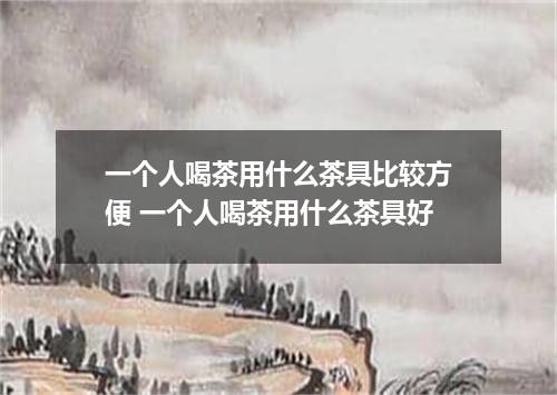 一个人喝茶用什么茶具比较方便 一个人喝茶用什么茶具好