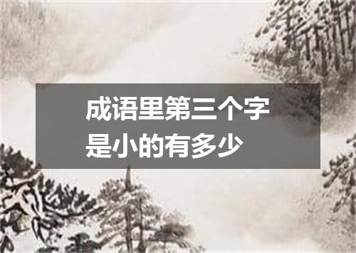 成语里第三个字是小的有多少