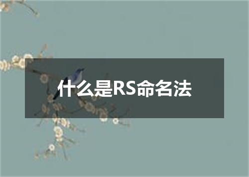 什么是RS命名法