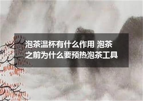 泡茶温杯有什么作用 泡茶之前为什么要预热泡茶工具