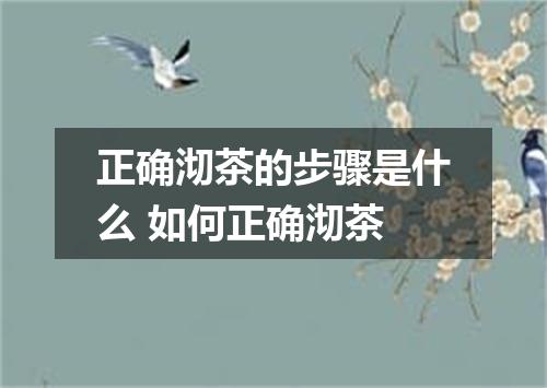 正确沏茶的步骤是什么 如何正确沏茶