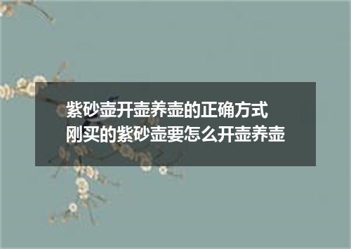 紫砂壶开壶养壶的正确方式 刚买的紫砂壶要怎么开壶养壶