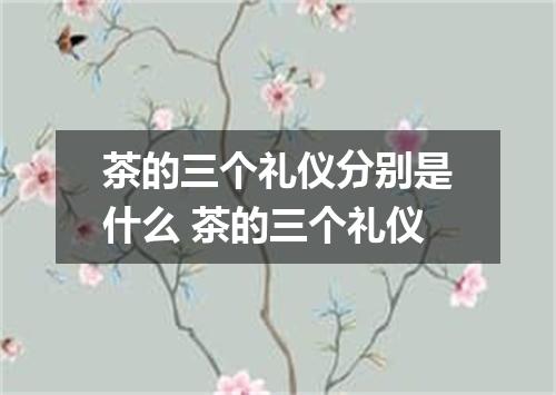 茶的三个礼仪分别是什么 茶的三个礼仪