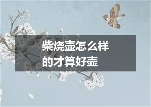 柴烧壶怎么样的才算好壶