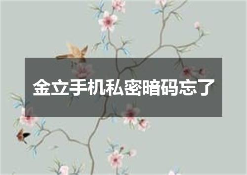 金立手机私密暗码忘了