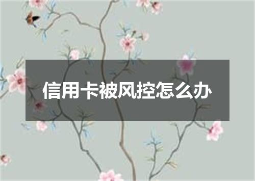 信用卡被风控怎么办