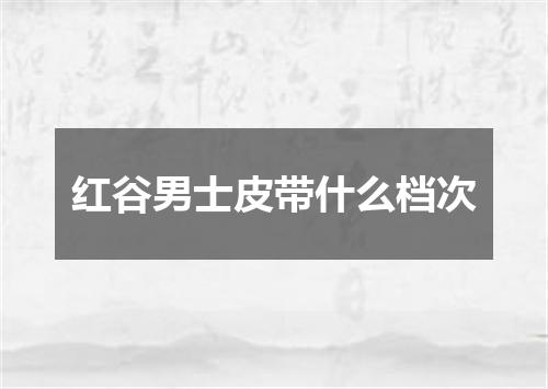 红谷男士皮带什么档次