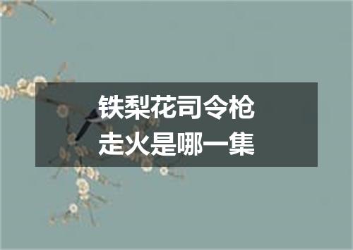 铁梨花司令枪走火是哪一集