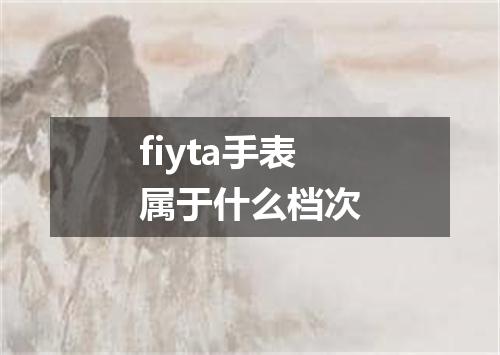 fiyta手表属于什么档次