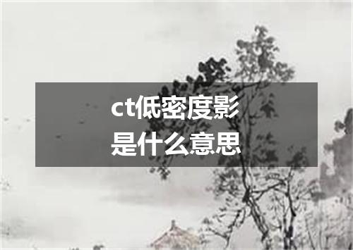 ct低密度影是什么意思