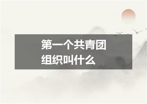 第一个共青团组织叫什么