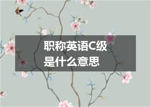 职称英语C级是什么意思
