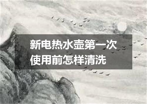 新电热水壶第一次使用前怎样清洗