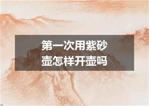 第一次用紫砂壶怎样开壶吗
