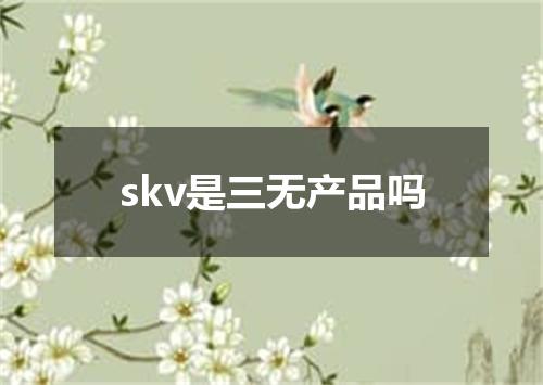 skv是三无产品吗