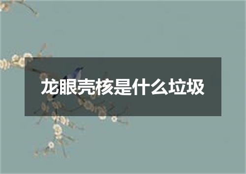 龙眼壳核是什么垃圾