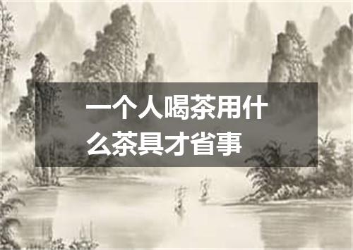 一个人喝茶用什么茶具才省事