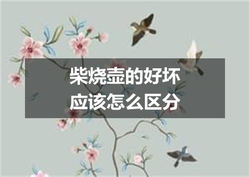 柴烧壶的好坏应该怎么区分