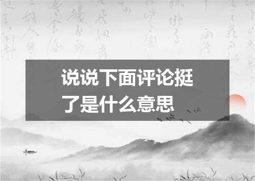 说说下面评论挺了是什么意思