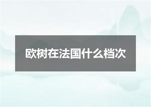 欧树在法国什么档次