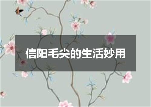 信阳毛尖的生活妙用